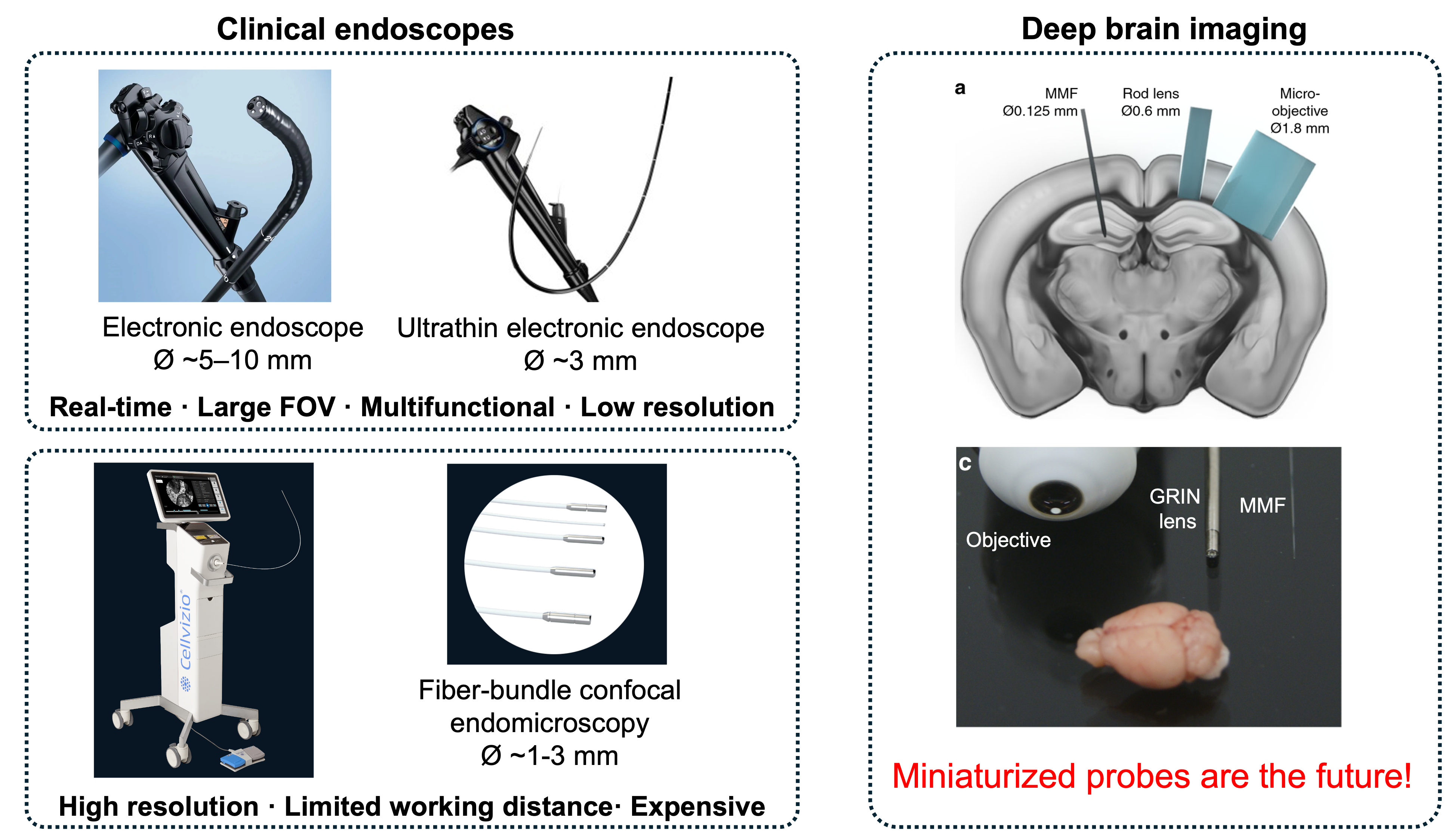 Comparison of endoscopic imaging probes